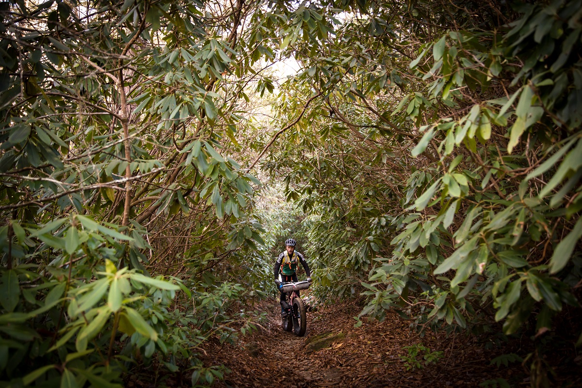 Riding a fat bike through the forest by Cole Fetters